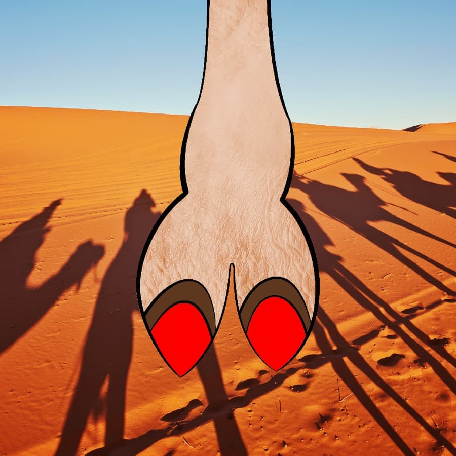 CamelToe original artwork #1