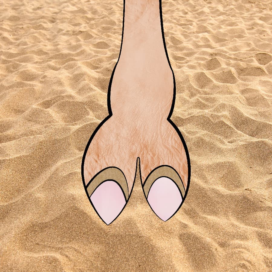 CamelToe original artwork #123