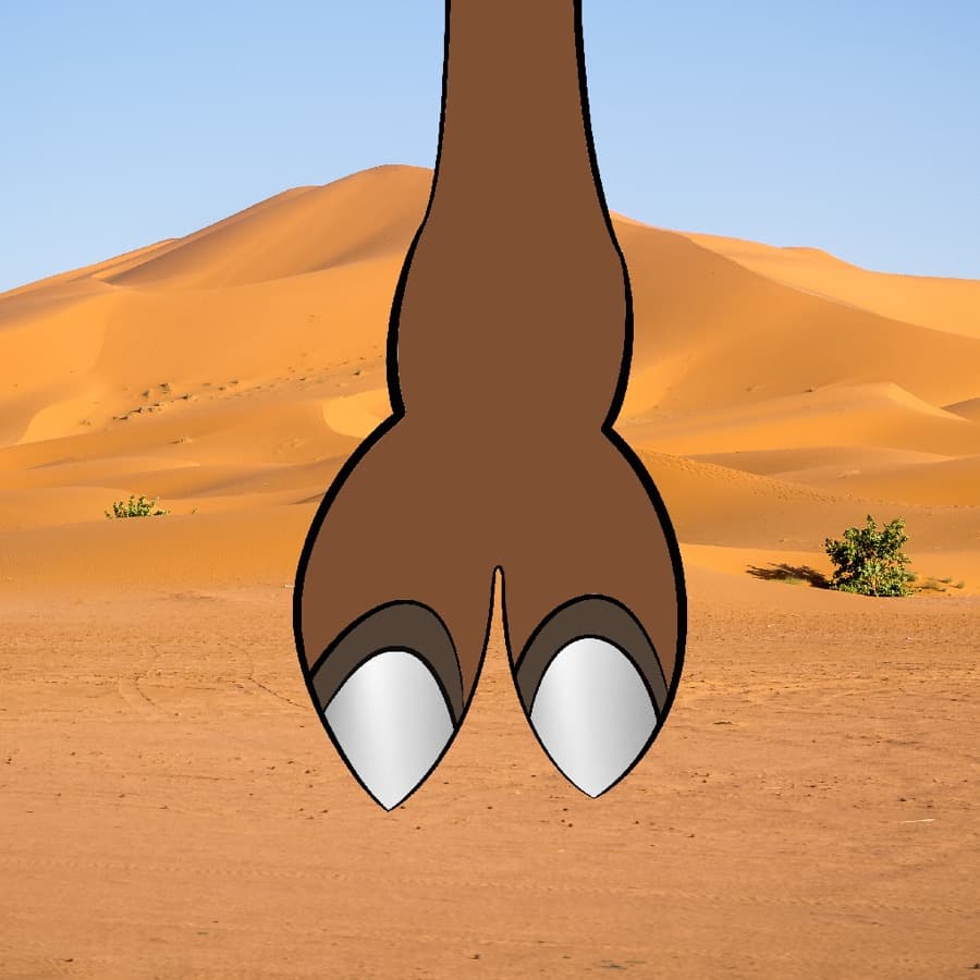 CamelToe original artwork #177