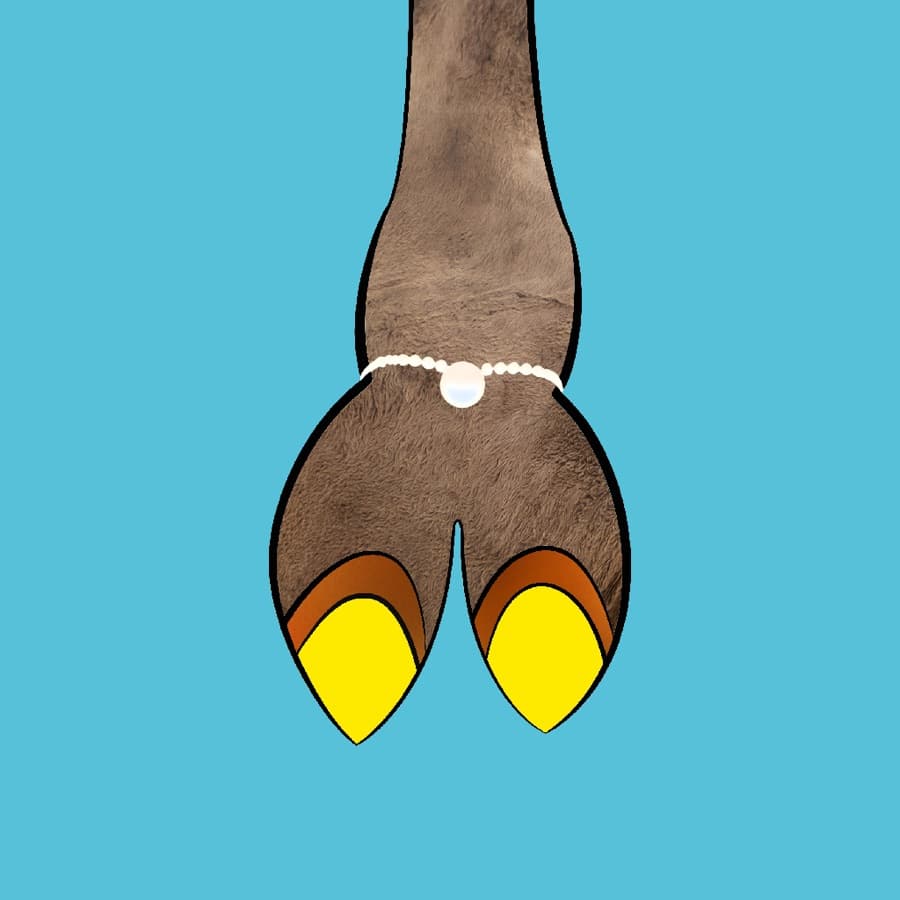 CamelToe original artwork #222