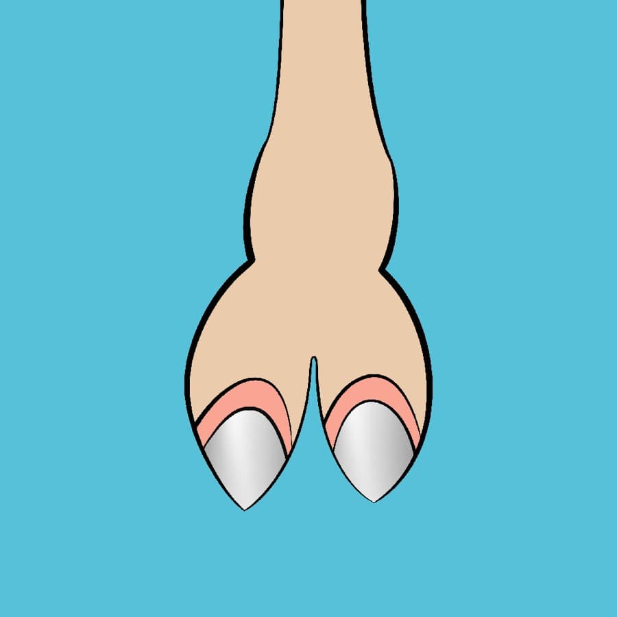 CamelToe original artwork #250