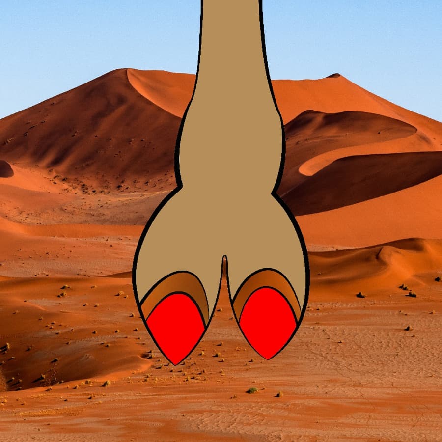 CamelToe original artwork #42