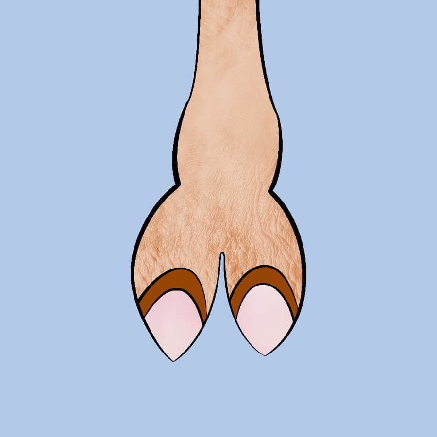 CamelToe original artwork #420
