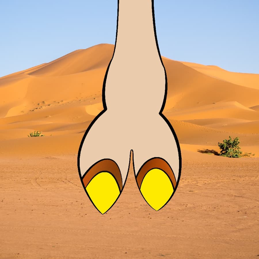 CamelToe original artwork #69
