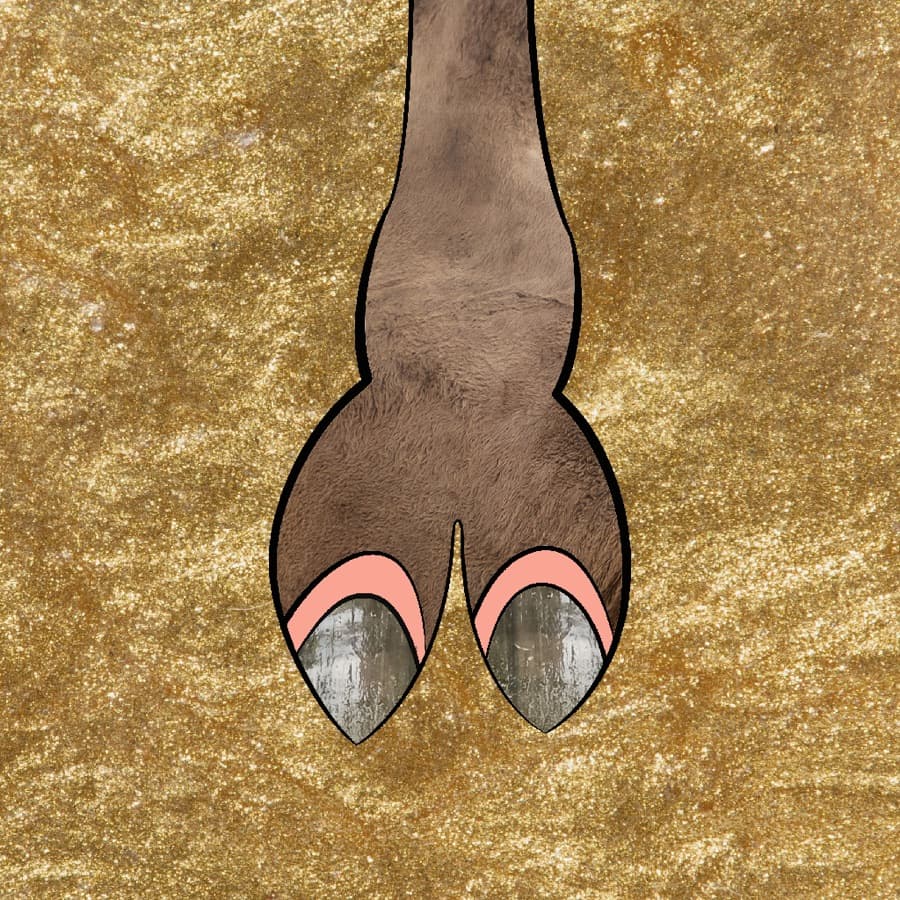 CamelToe original artwork #77